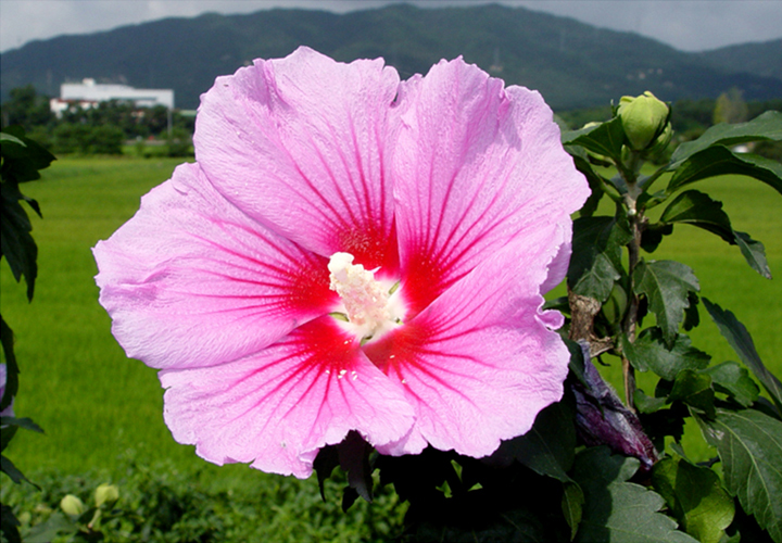 2025 세계어촌대회